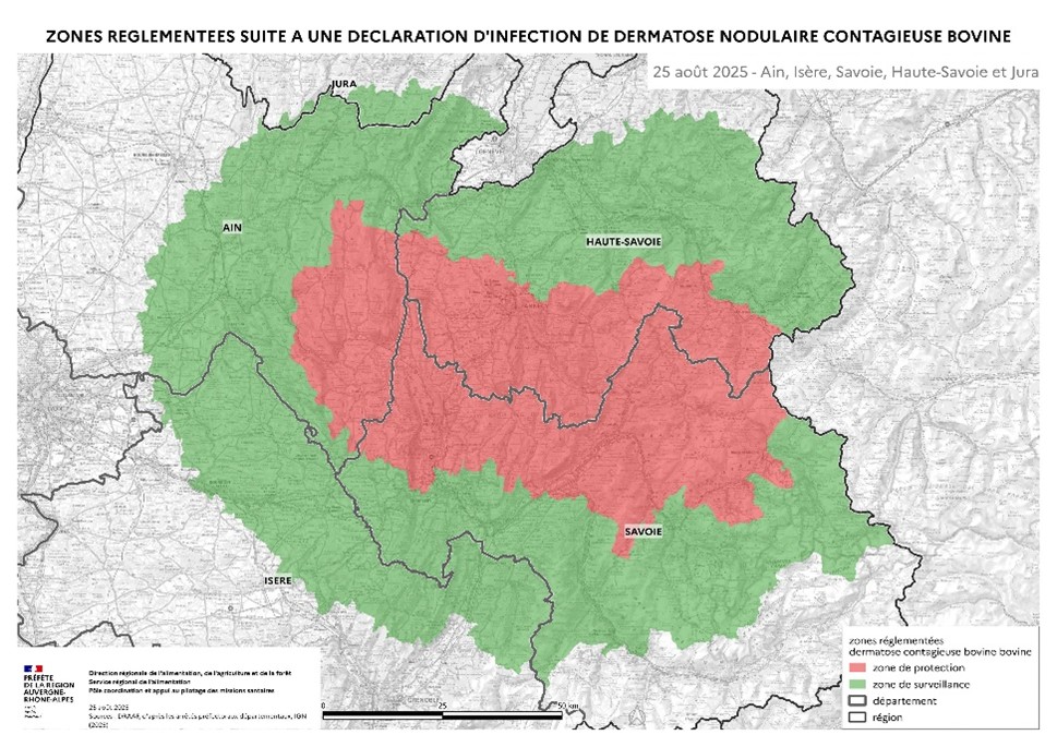 Illustration de l'actualité